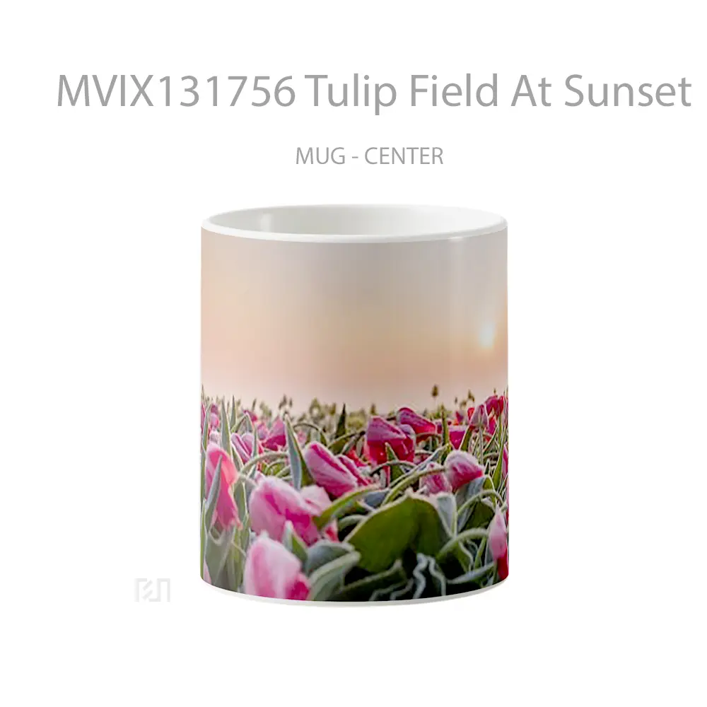 Mug Tulip Field At Sunset Gelas Pemandangan Alam
