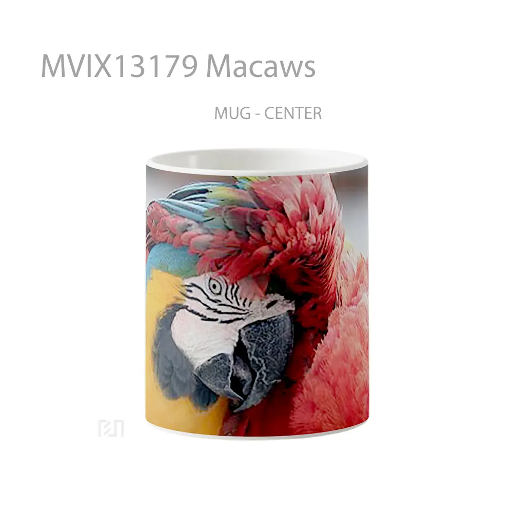 Mug Macaws Gelas Keramik Unik