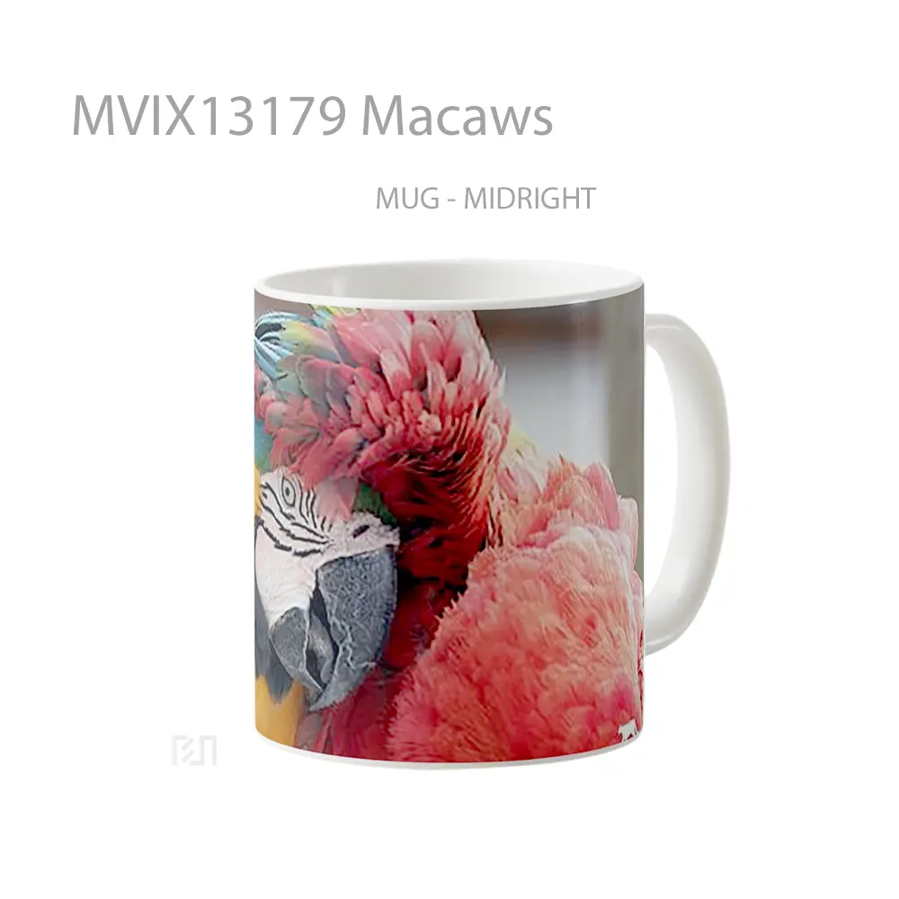 Mug Macaws Gelas Keramik Unik - All-side / Desain