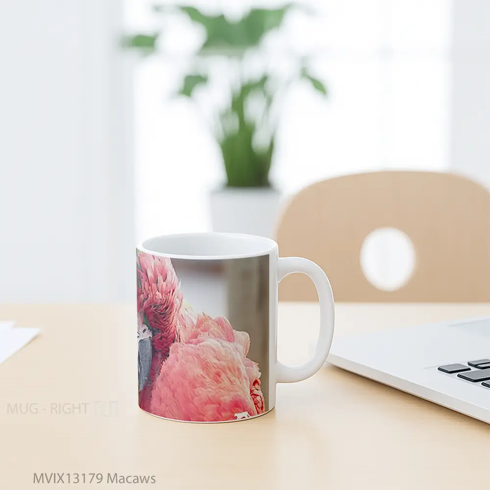 Mug Macaws Gelas Keramik Unik - All-side / Desain