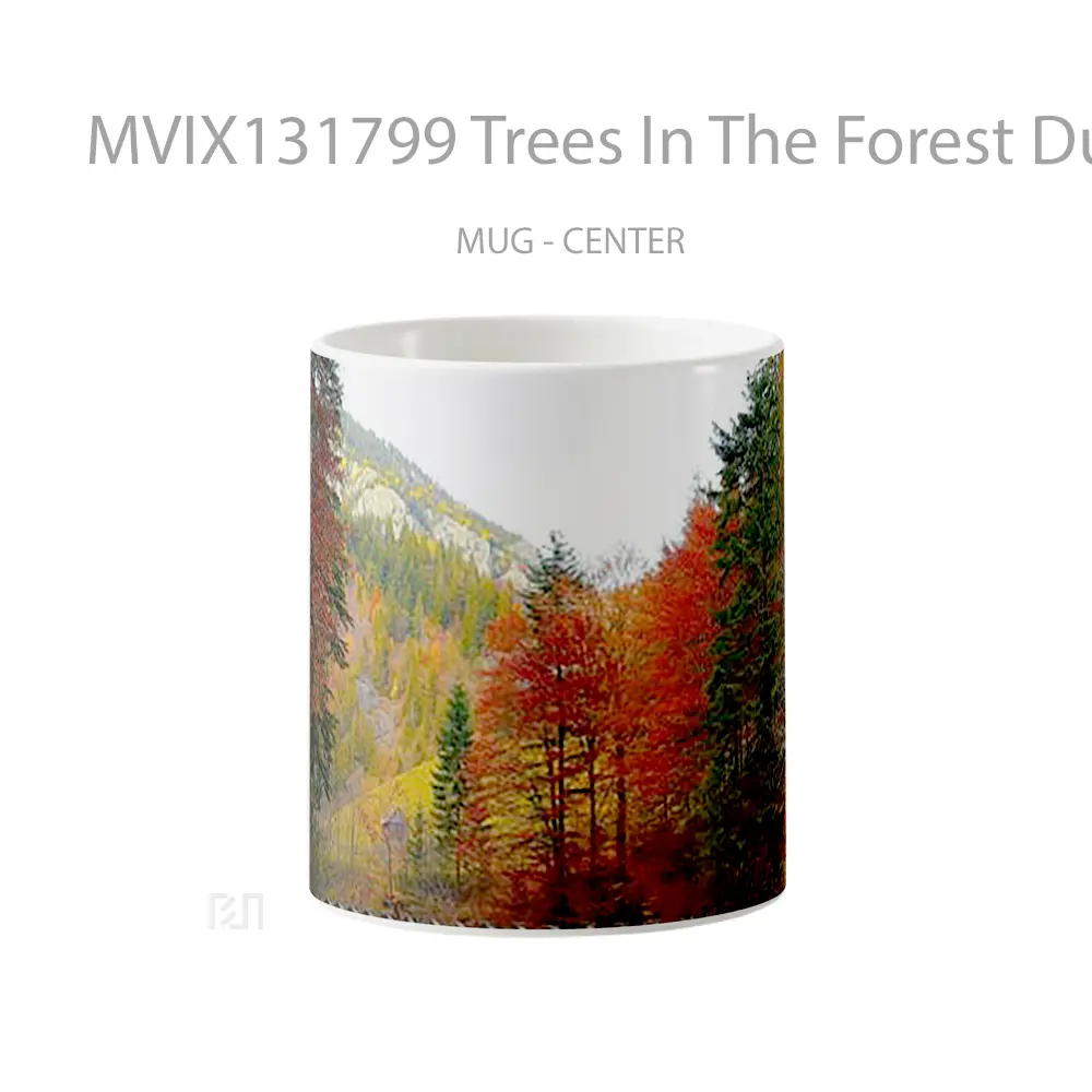 Mug Trees In The Forest During Autumn Gelas Pemandangan Alam