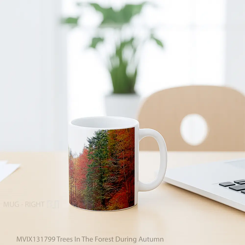 Mug Trees In The Forest During Autumn Gelas Pemandangan Alam - All-side / Desain