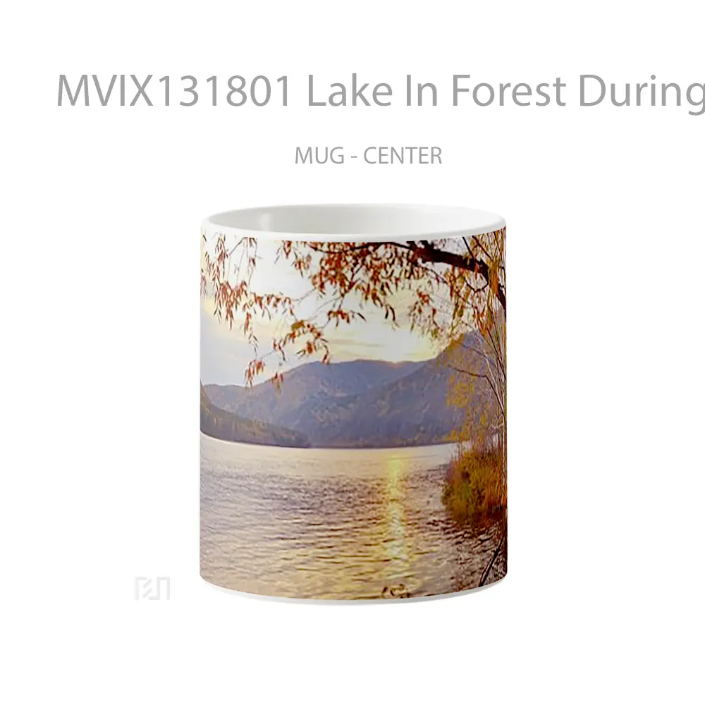 Mug Lake In Forest During Autumn Gelas Pemandangan Alam