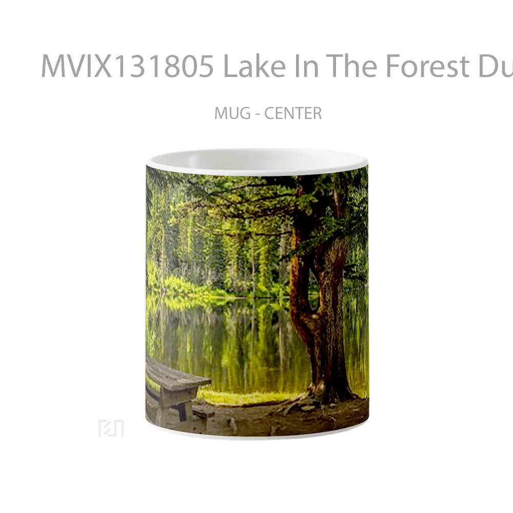 Mug Lake In The Forest During The Day Gelas Pemandangan Alam