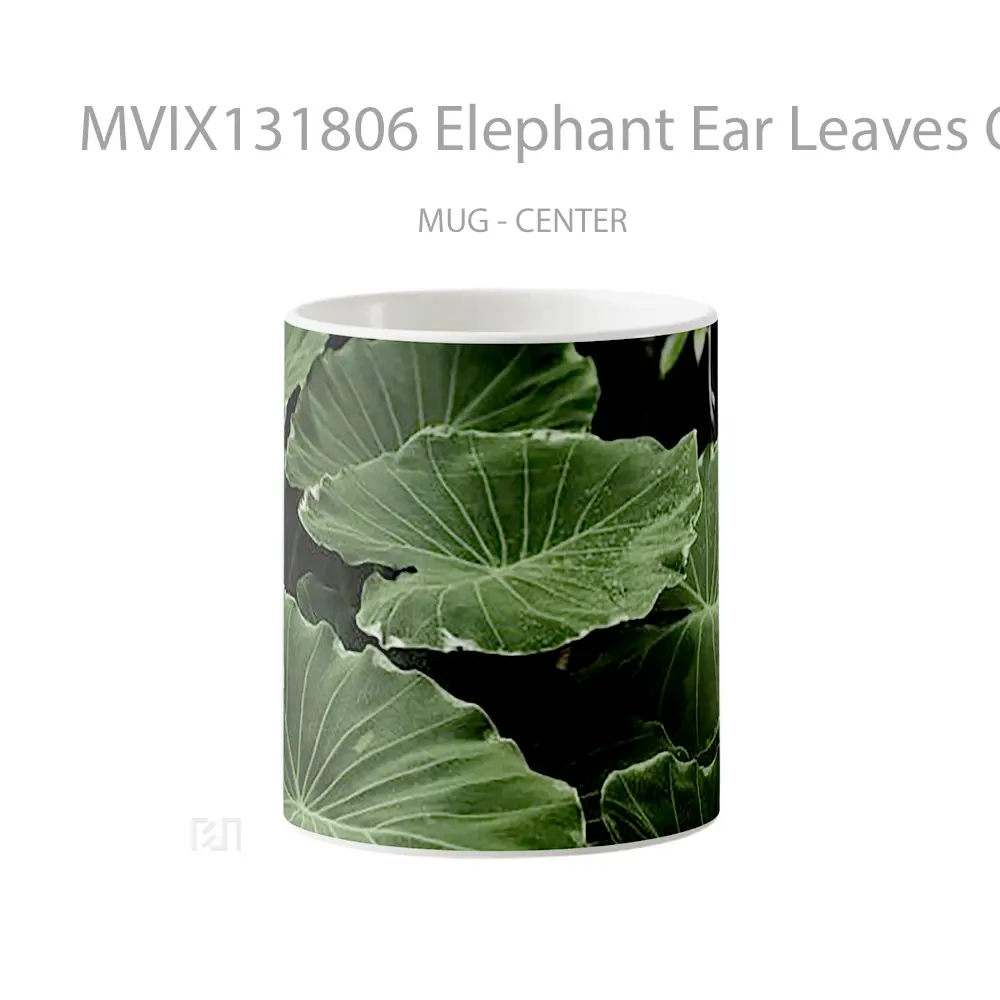 Mug Elephant Ear Leaves On Water Gelas Hewan Lucu