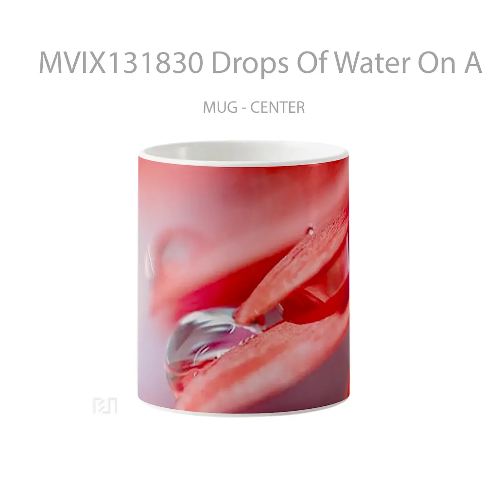 Mug Drops Of Water On A Flower Gelas Pemandangan Alam