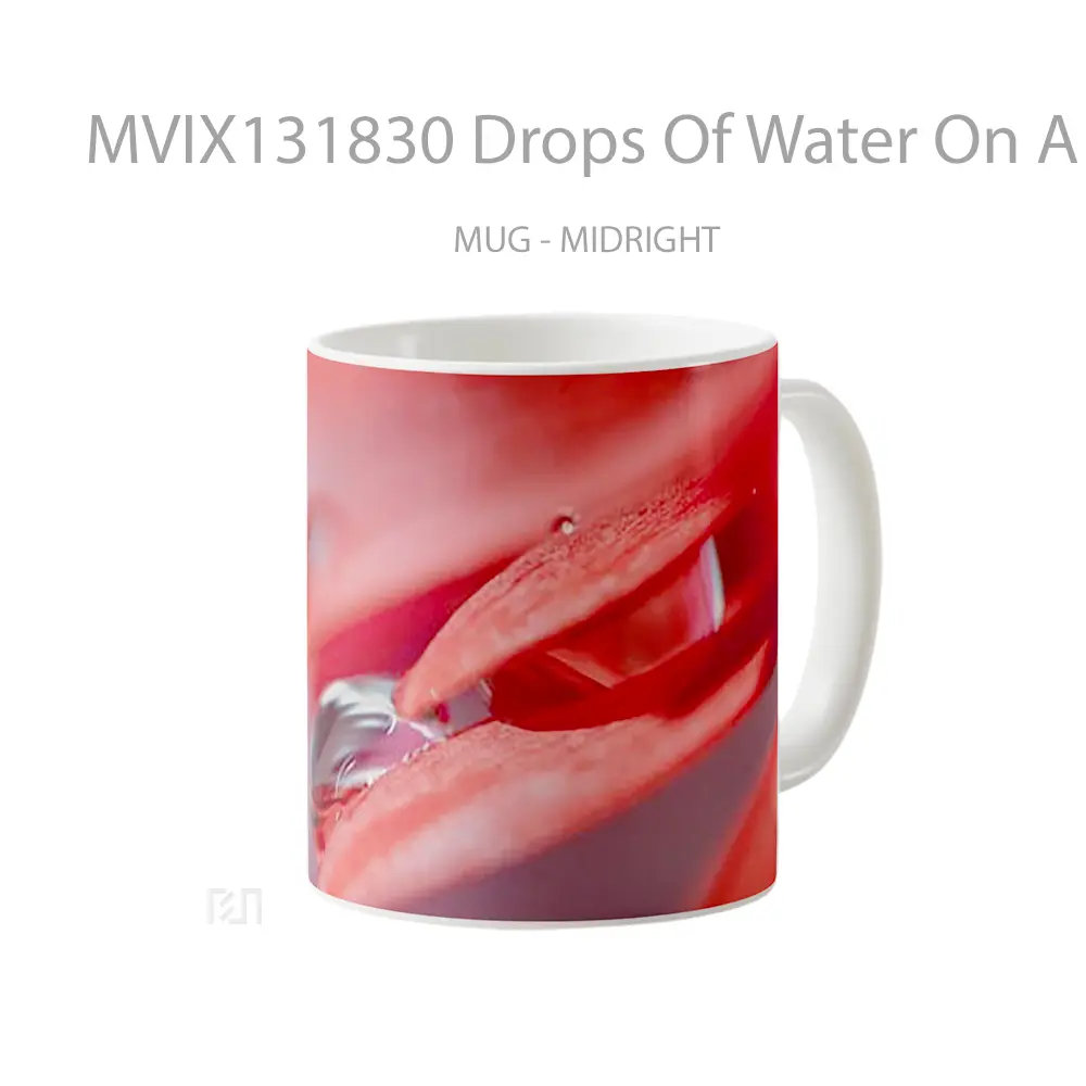 Mug Drops Of Water On A Flower Gelas Pemandangan Alam - All-side / Desain