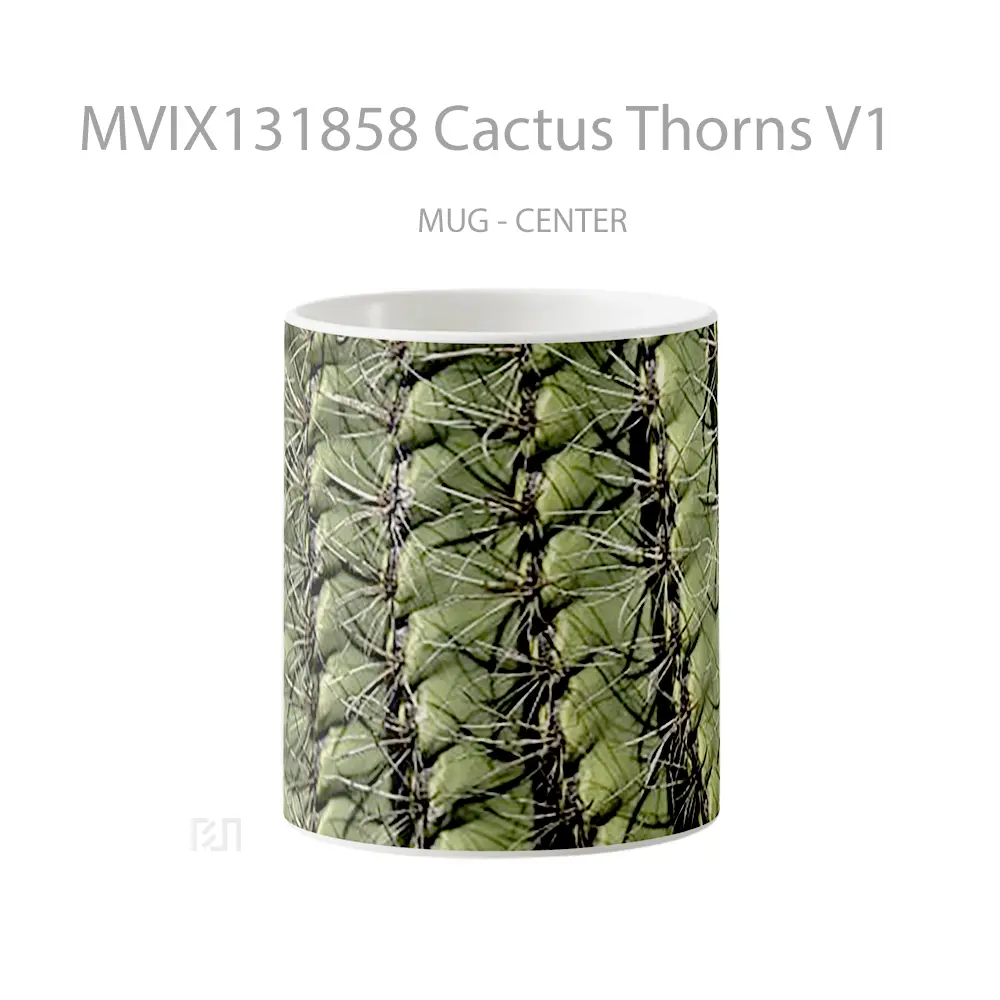 Mug Cactus Thorns V1 Gelas Keramik Unik