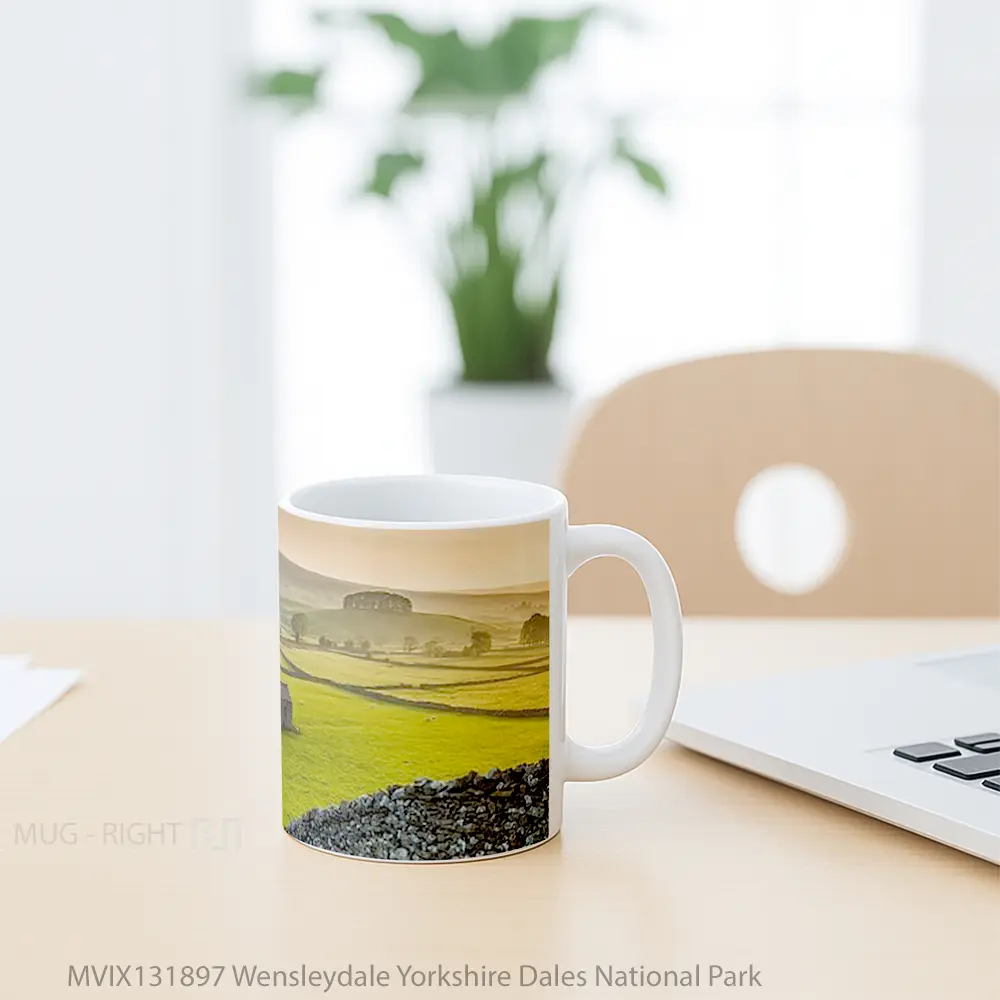 Mug Wensleydale Yorkshire Dales National Park Gelas Keramik Unik - All-side / Desain