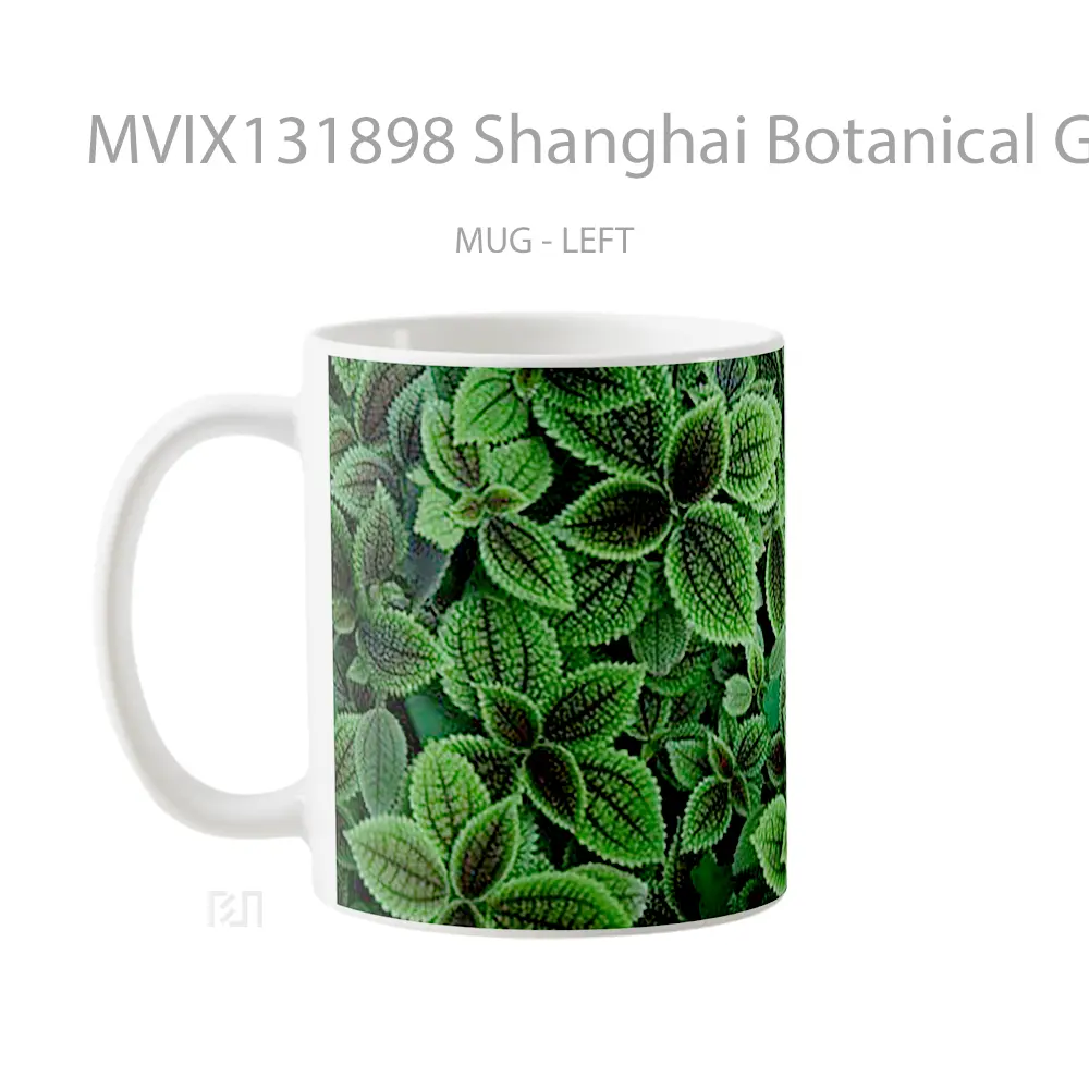 Mug Shanghai Botanical Garden China Gelas Pemandangan Alam - All-side / Desain