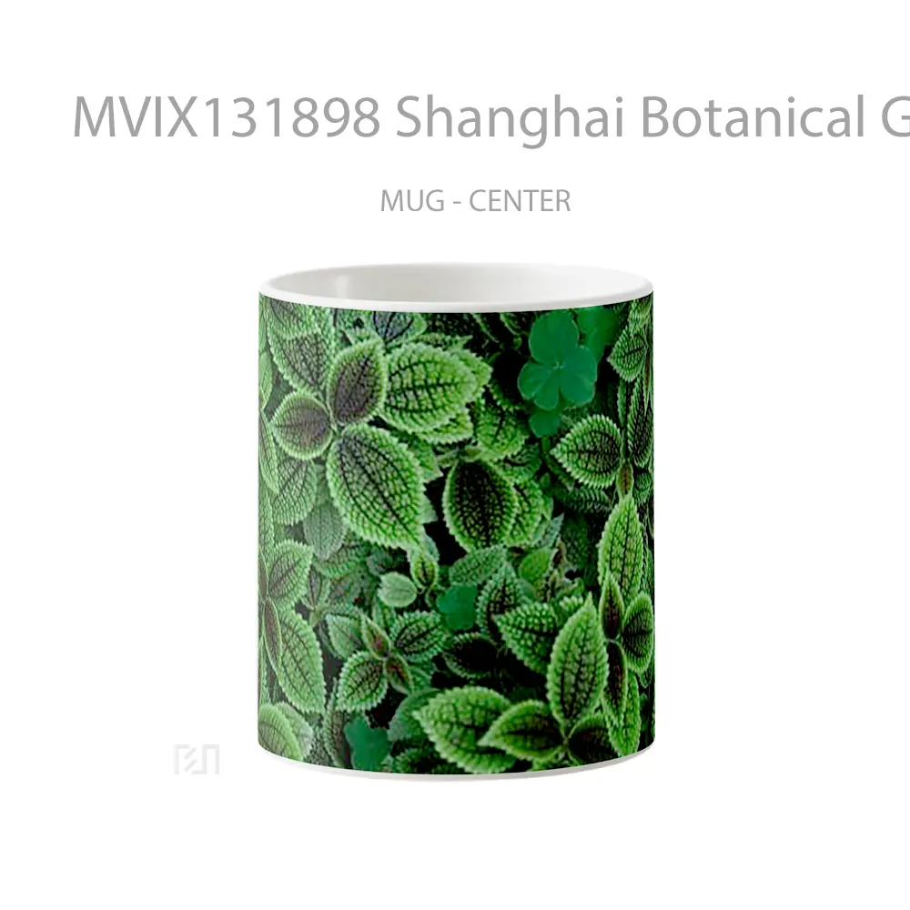 Mug Shanghai Botanical Garden China Gelas Pemandangan Alam