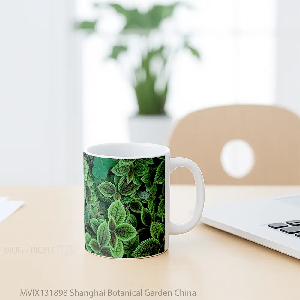 Mug Shanghai Botanical Garden China Gelas Pemandangan Alam - All-side / Desain