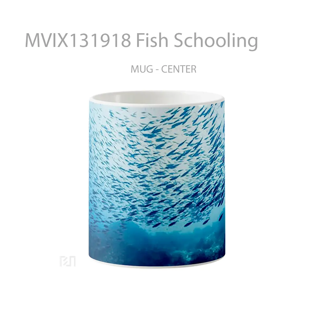 Mug Fish Schooling Gelas Hewan Lucu
