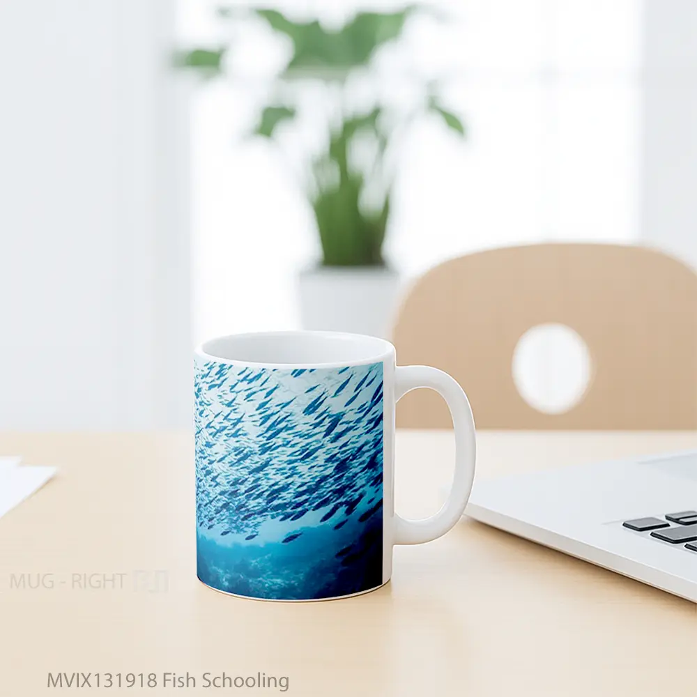 Mug Fish Schooling Gelas Hewan Lucu - All-side / Desain