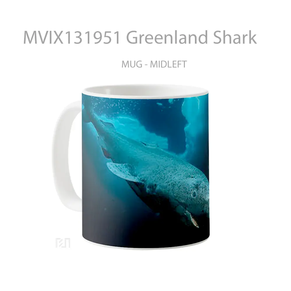 Mug Greenland Shark Gelas Hewan Lucu - All-side / Desain