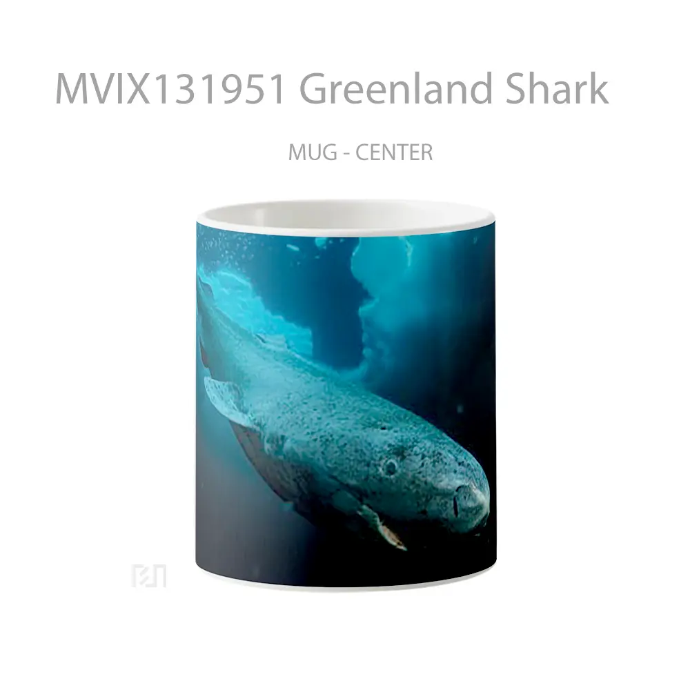 Mug Greenland Shark Gelas Hewan Lucu
