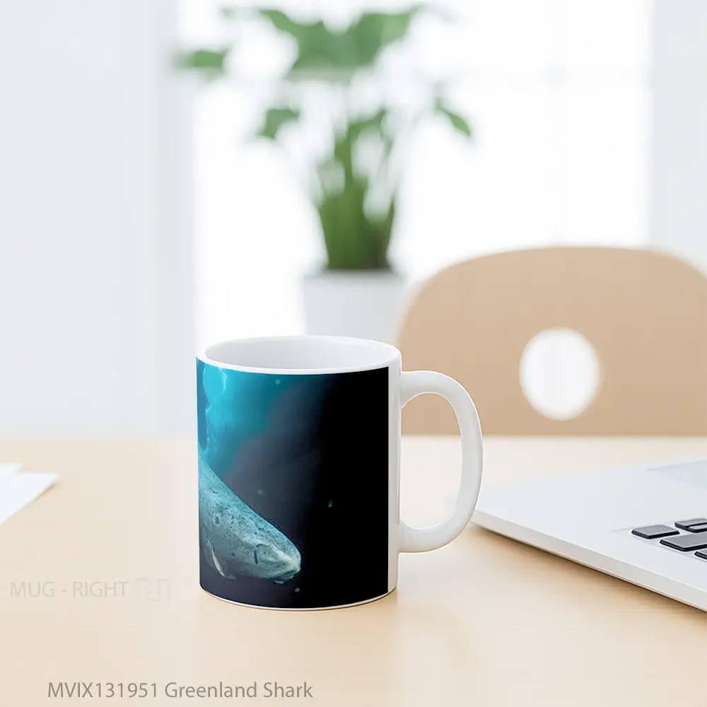 Mug Greenland Shark Gelas Hewan Lucu - All-side / Desain
