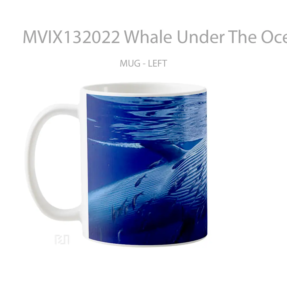 Mug Whale Under The Ocean Gelas Hewan Lucu - All-side / Desain