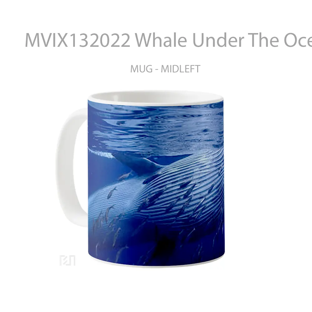 Mug Whale Under The Ocean Gelas Hewan Lucu - All-side / Desain