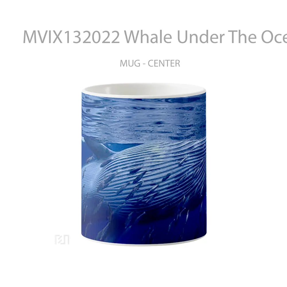 Mug Whale Under The Ocean Gelas Hewan Lucu