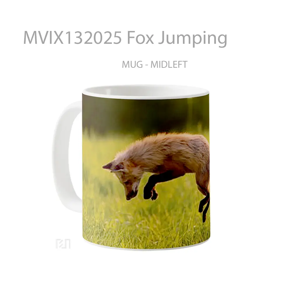 Mug Fox Jumping Gelas Hewan Lucu - All-side / Desain