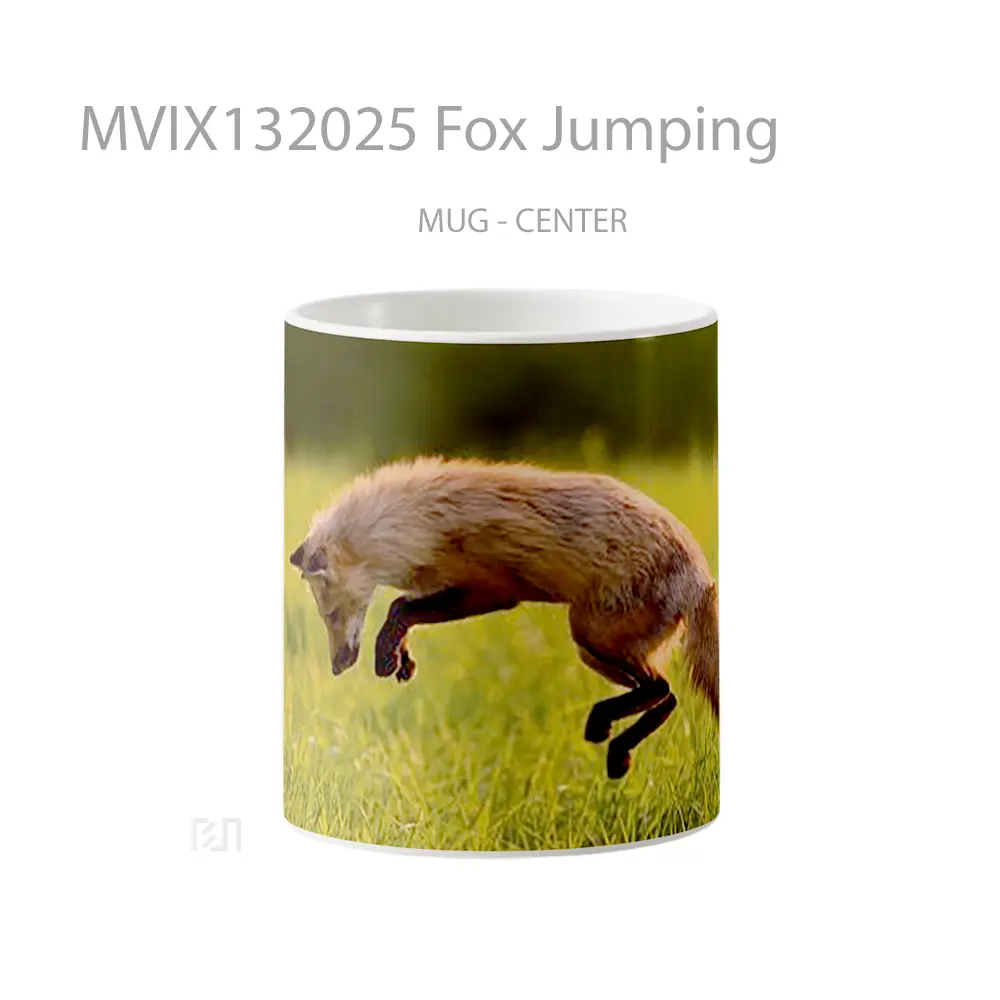 Mug Fox Jumping Gelas Hewan Lucu