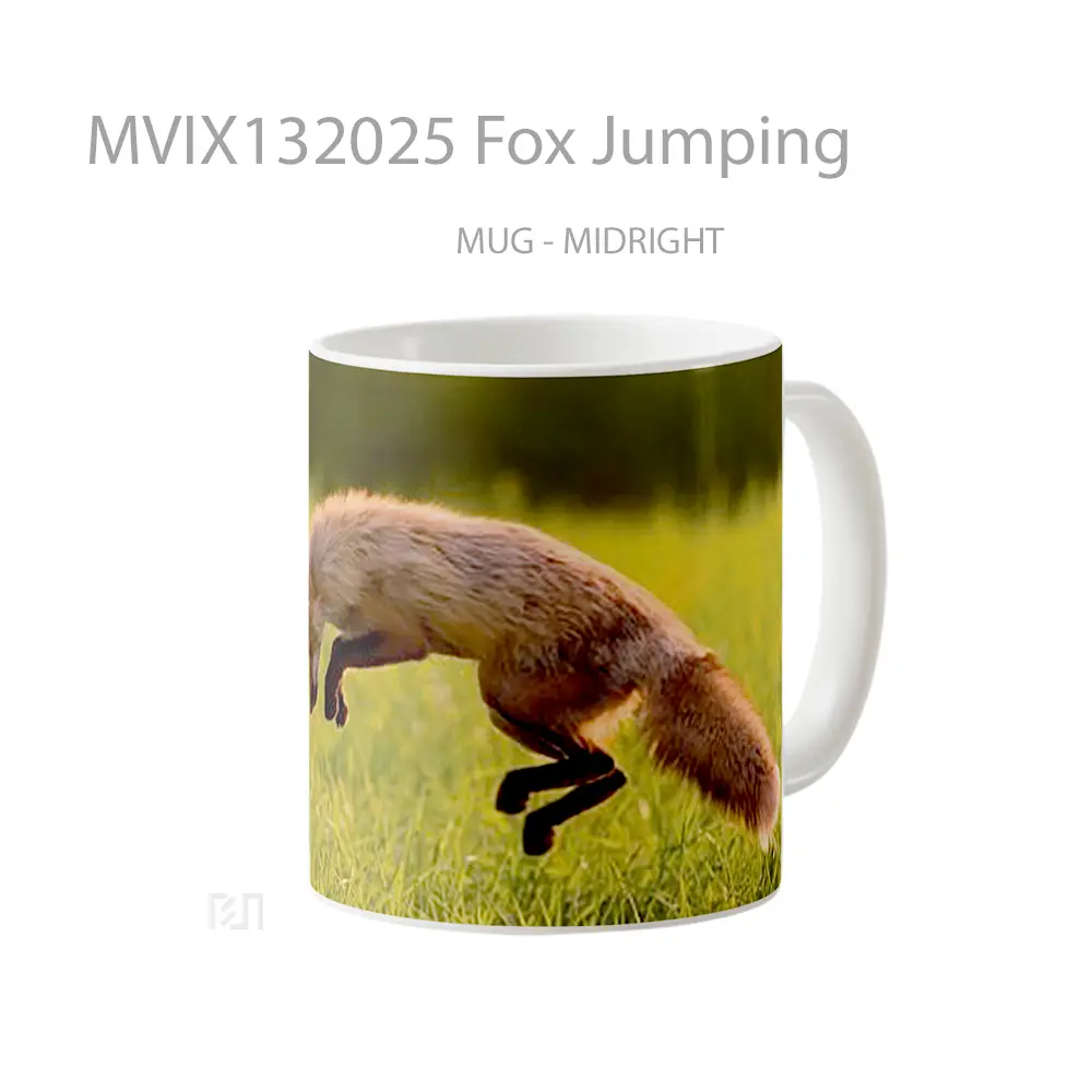 Mug Fox Jumping Gelas Hewan Lucu - All-side / Desain