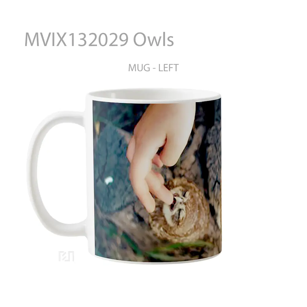 Mug Owls Gelas Hewan Lucu - All-side / Desain