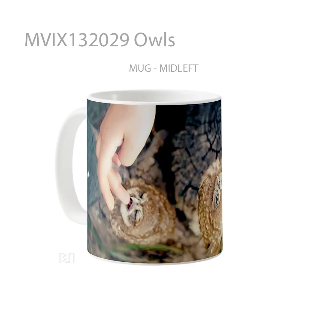 Mug Owls Gelas Hewan Lucu - All-side / Desain