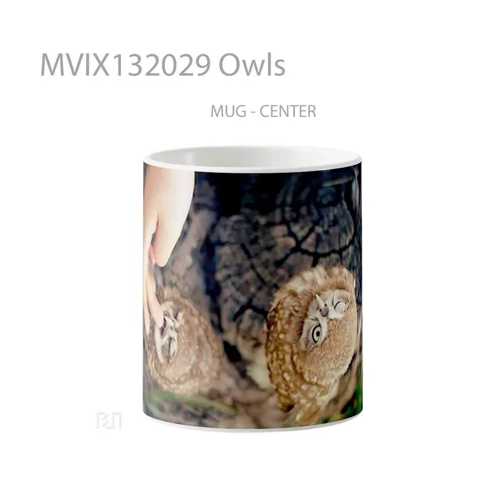 Mug Owls Gelas Hewan Lucu
