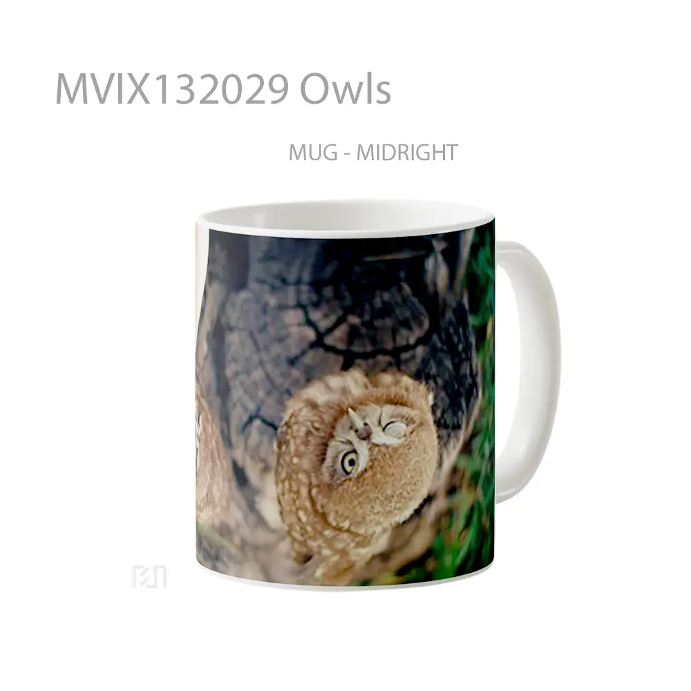 Mug Owls Gelas Hewan Lucu - All-side / Desain