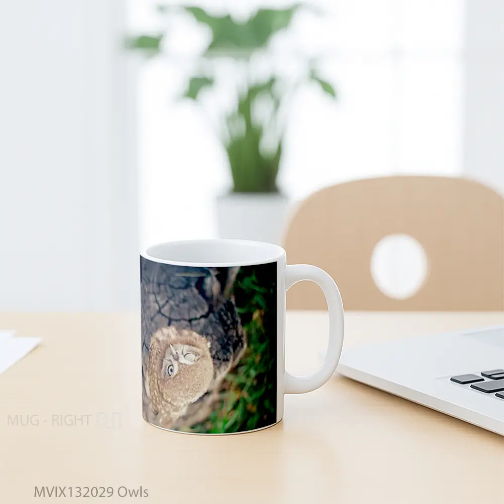 Mug Owls Gelas Hewan Lucu - All-side / Desain