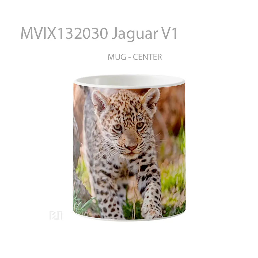 Mug Jaguar V1 Gelas Keramik Unik