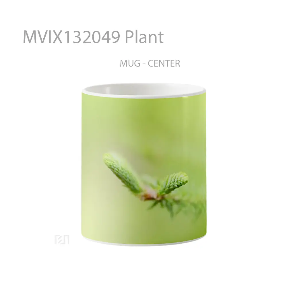 Mug Plant Gelas Keramik Unik