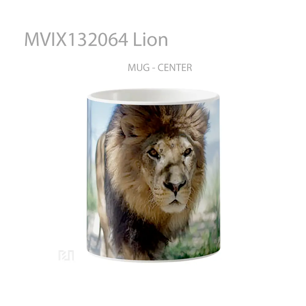 Mug Lion Gelas Hewan Lucu