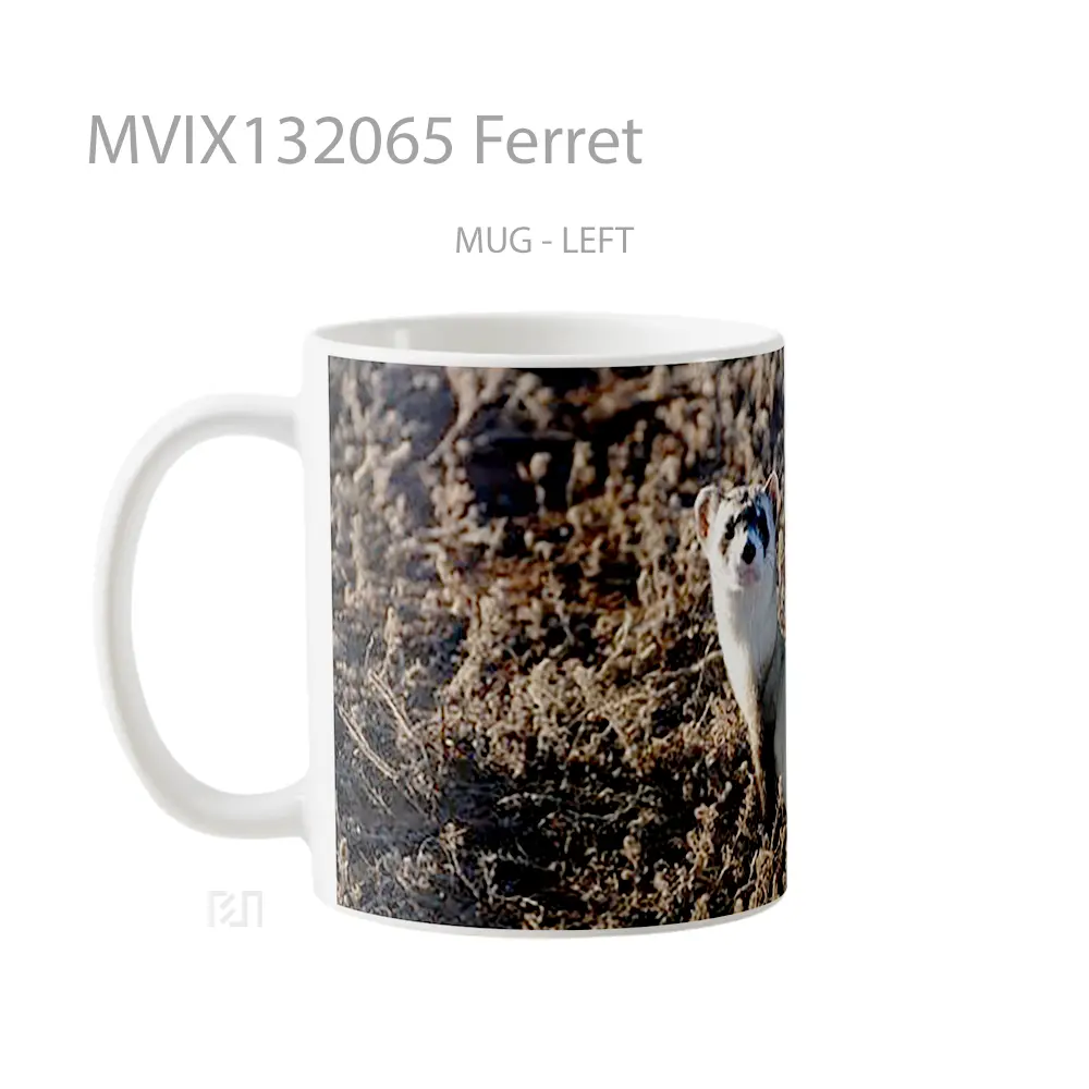 Mug Ferret Gelas Keramik Unik - All-side / Desain