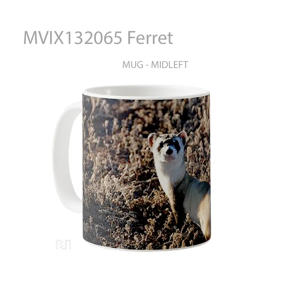 Mug Ferret Gelas Keramik Unik - All-side / Desain