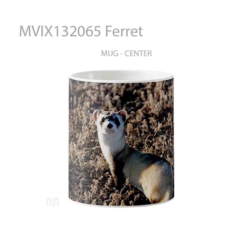 Mug Ferret Gelas Keramik Unik
