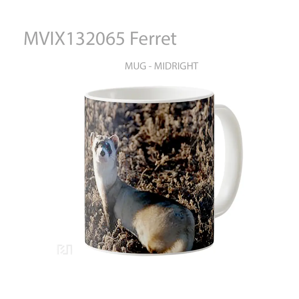Mug Ferret Gelas Keramik Unik - All-side / Desain
