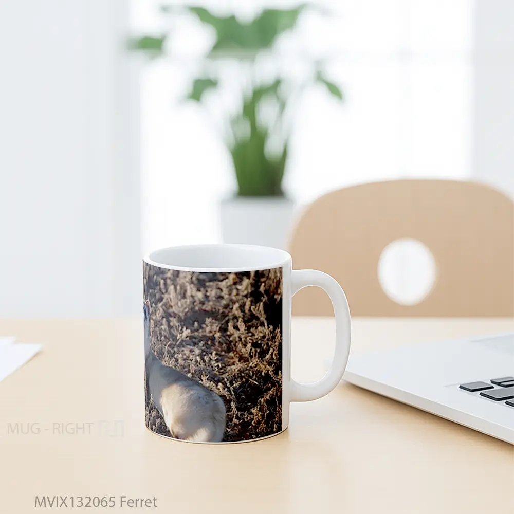 Mug Ferret Gelas Keramik Unik - All-side / Desain