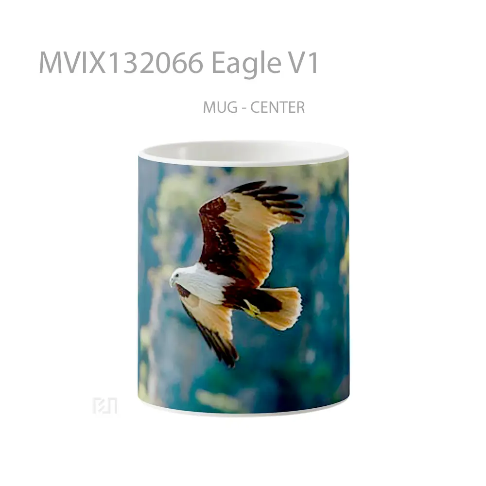 Mug Eagle V1 Gelas Hewan Lucu