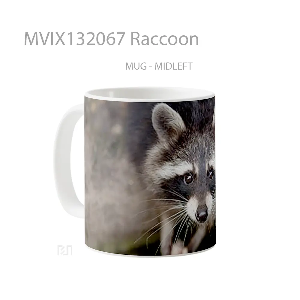 Mug Raccoon Gelas Keramik Unik - All-side / Desain