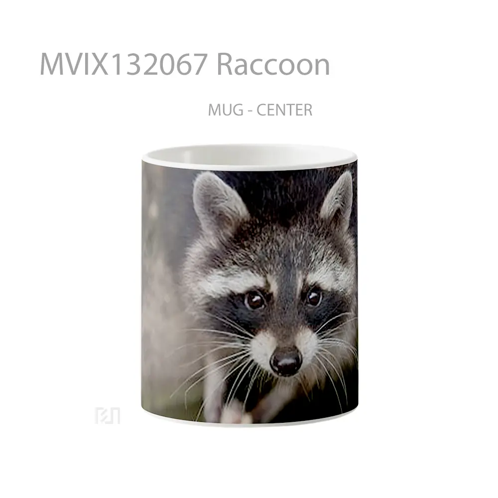 Mug Raccoon Gelas Keramik Unik