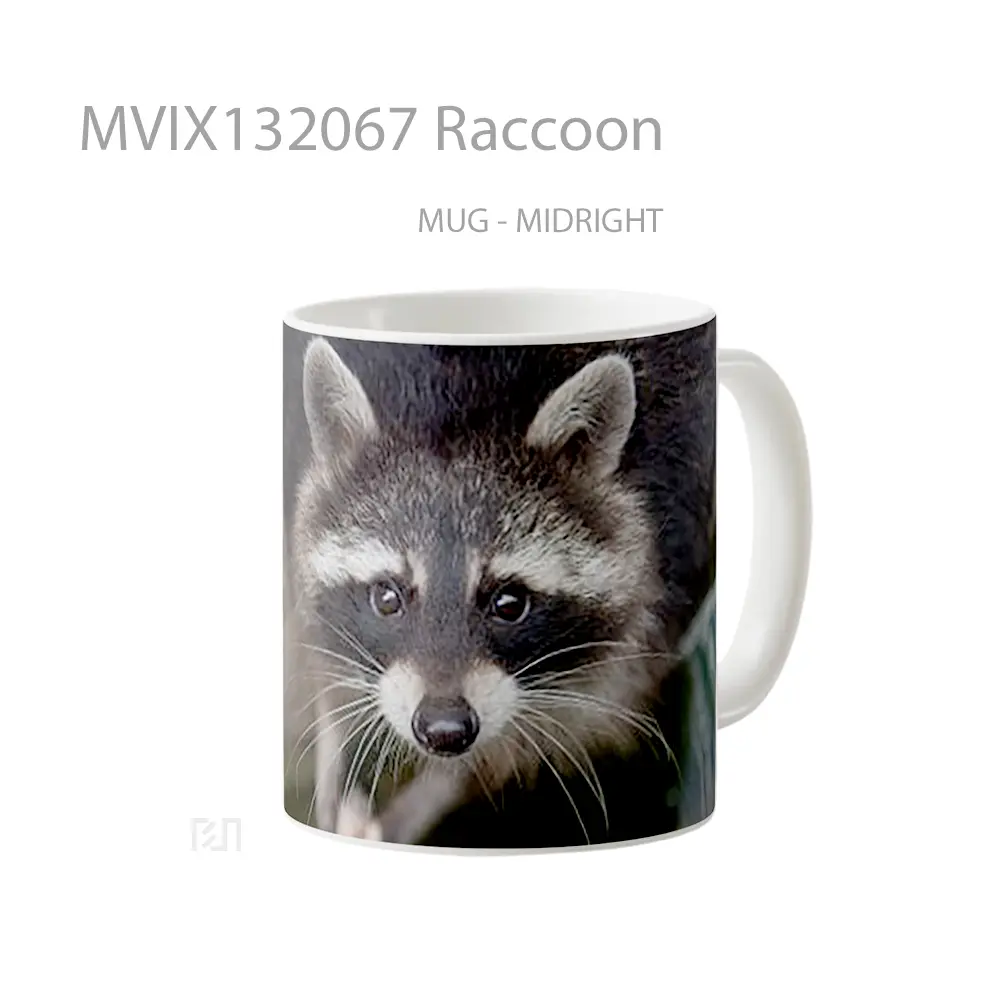 Mug Raccoon Gelas Keramik Unik - All-side / Desain