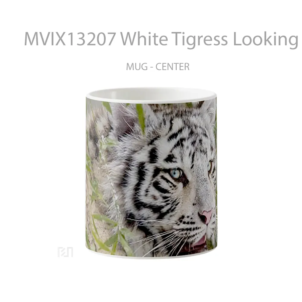 Mug White Tigress Looking Back Gelas Keramik Unik