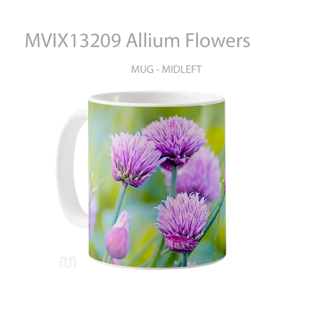 Mug Allium Flowers Gelas Pemandangan Alam - All-side / Desain