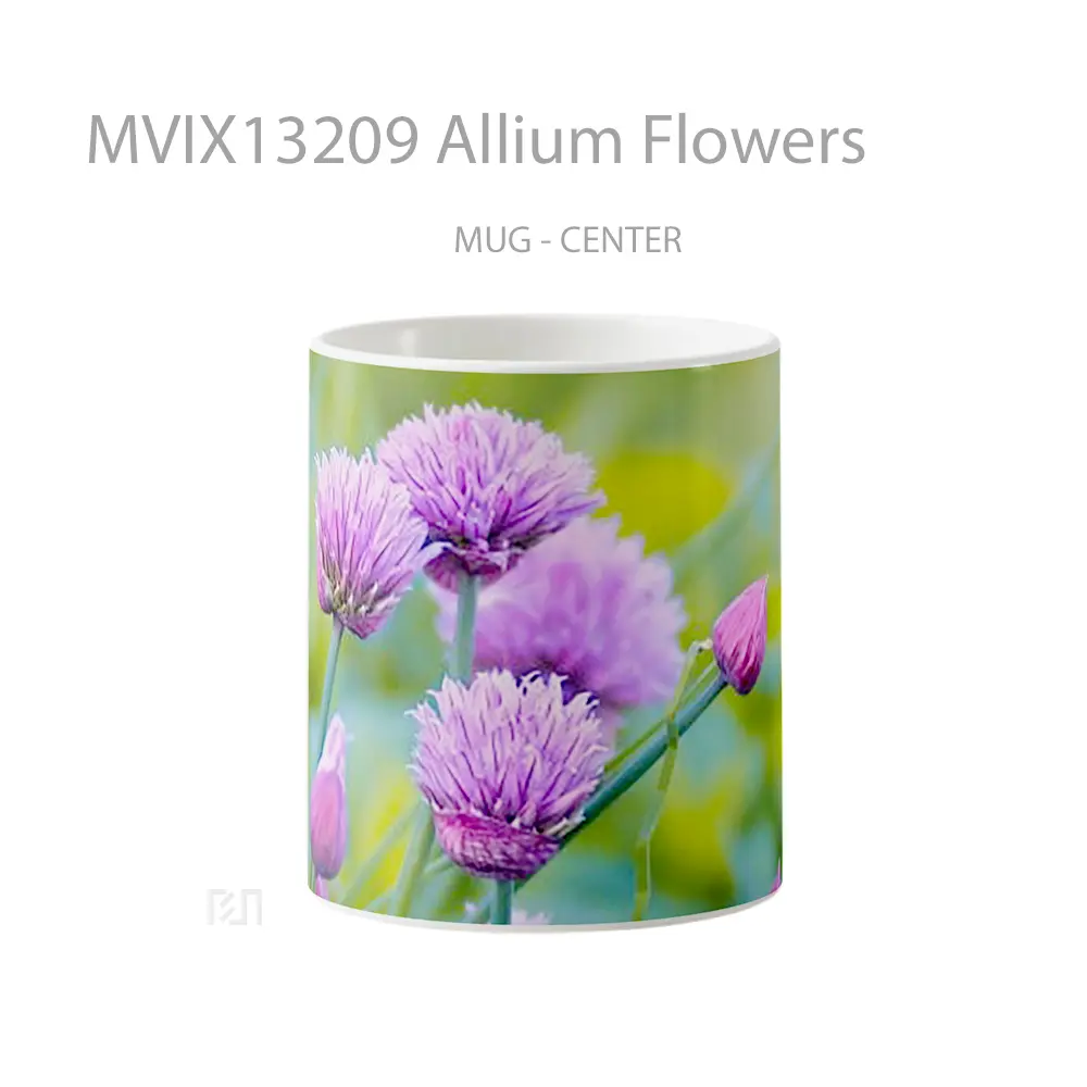 Mug Allium Flowers Gelas Pemandangan Alam
