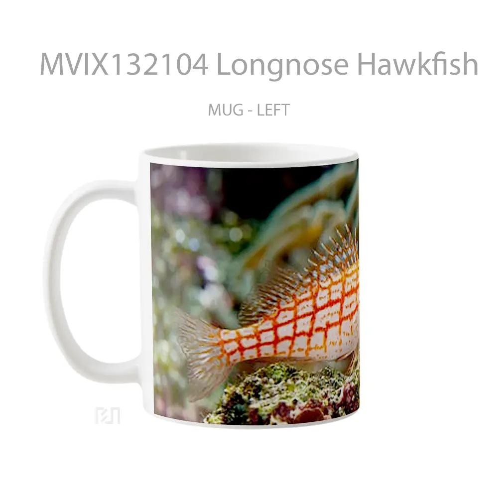 Mug Longnose Hawkfish Gelas Keramik Unik - All-side / Desain