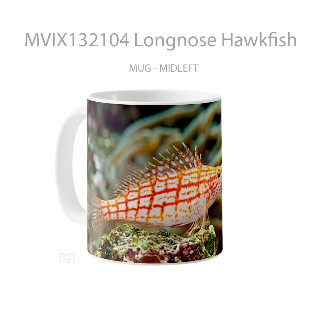 Mug Longnose Hawkfish Gelas Keramik Unik - All-side / Desain