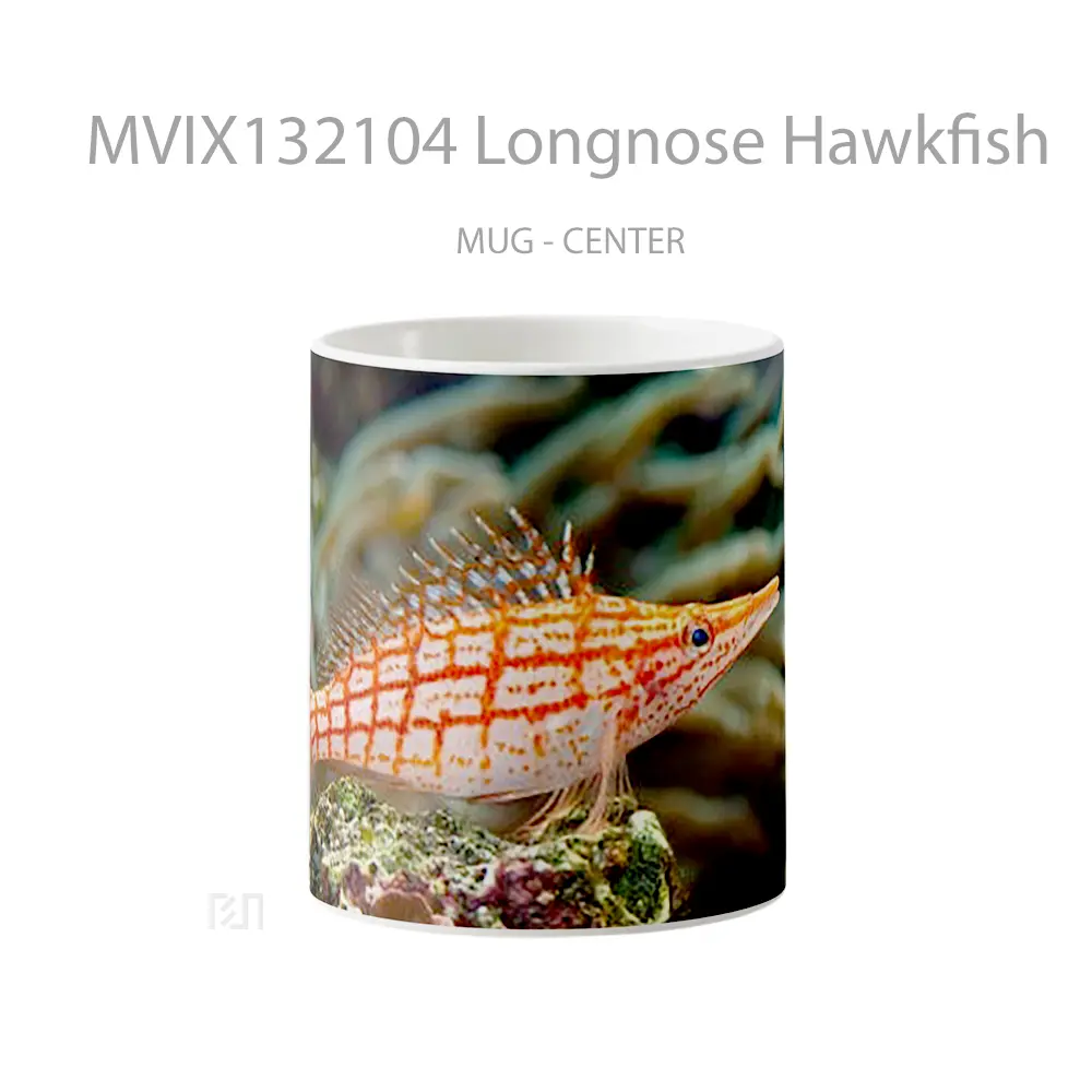 Mug Longnose Hawkfish Gelas Keramik Unik